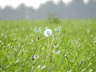 调色师