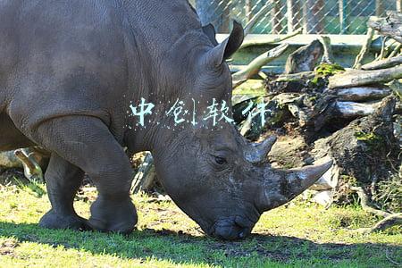 中创软件