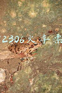 12306火车票
