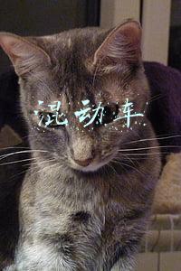 混动车