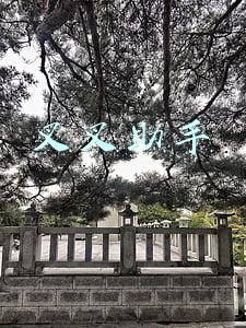 叉叉助手