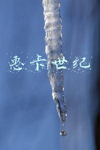 惠卡世纪