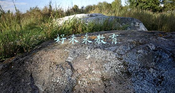 好未来教育