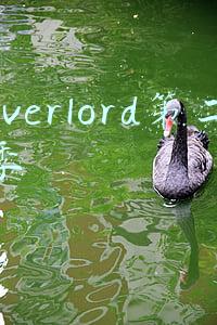 overlord第二季