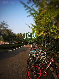 jed