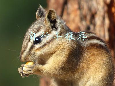 自行车推荐知乎(买公路车前必了解的知识（2）)