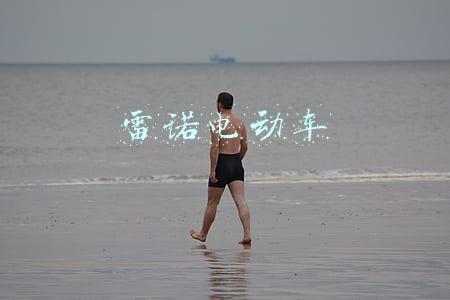 雷诺电动车