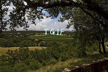 TGIF