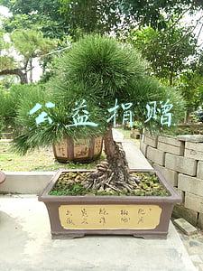 公益捐赠