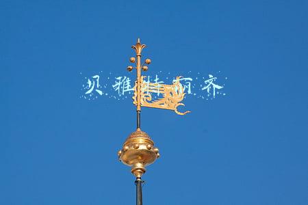 贝雅特丽齐