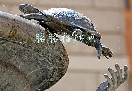 脉脉招聘网