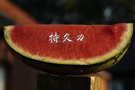 持久力