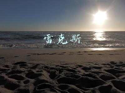 雷克斯