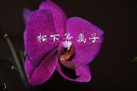 松下等离子