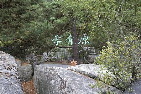 李青原