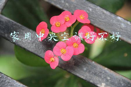 家用中央空调好不好 家用中央空调好不好