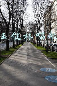 王健林唱歌