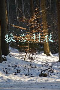 振芯科技
