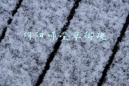 阴阳师莹草御魂 阴阳师莹草御魂