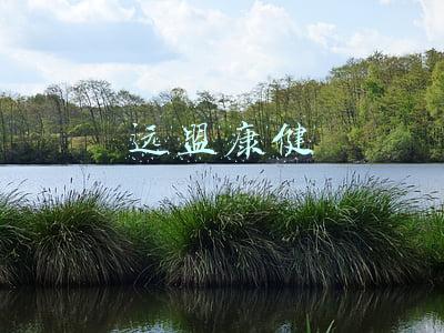 远盟康健