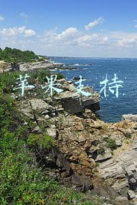 苹果支持官网(苹果教育优惠在哪里审核 2021苹果教育优惠怎么操作)