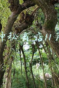 神秘商店11月