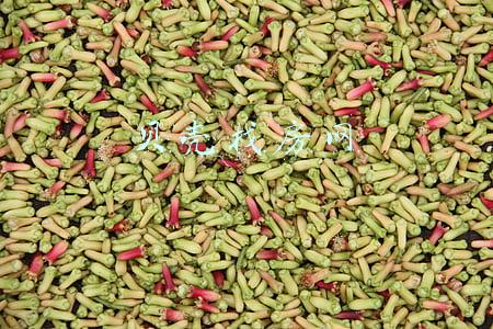 贝壳找房网页版登录(「独家」贝壳找房正式启动上市，年内或将完成)