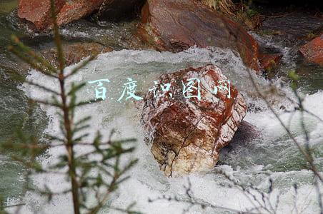 百度识图网页入口(百度人脸识别_获取摄像头视频流图片_进行识别_或远程同步后识别)