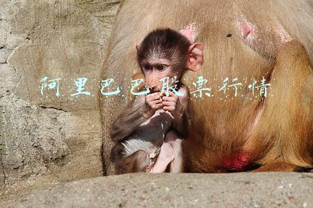 阿里巴巴股票行情