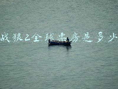 战狼2全球票房是多少
