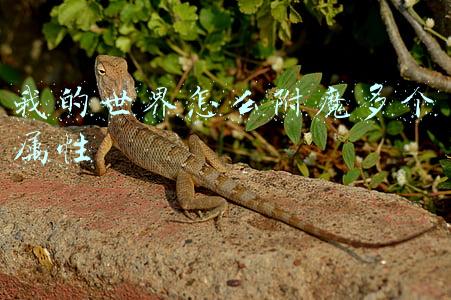 我的世界怎么附魔多个属性