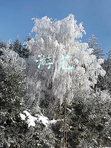 游艺娱乐场所包括哪些(九类区域禁设游艺娱乐场所)