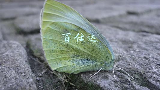 百仕达