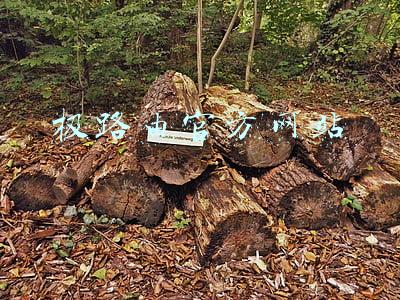 极路由官方网站