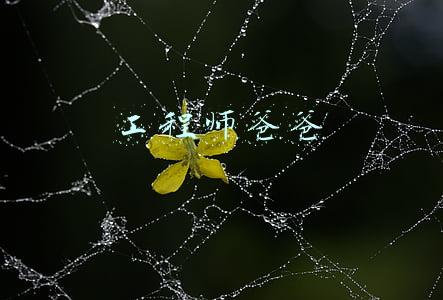 工程师爸爸