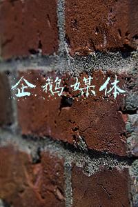 企鹅媒体平台注册(史上最全的自媒体平台注册入口)