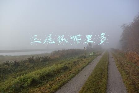 三尾狐哪里多