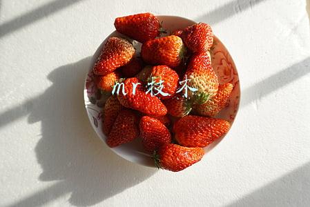mr技术