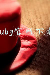 pubg官网下载