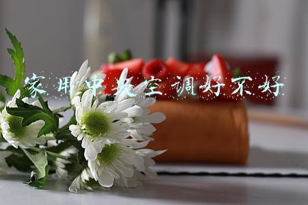 家用中央空调好不好 家用中央空调好不好