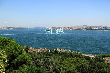 海枫