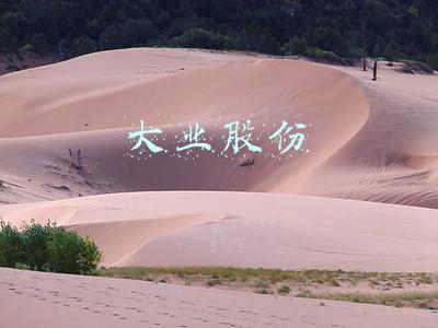 大业股份股票(山东大业股份有限公司2022年度非公开发行A股股票预案)