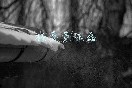 拼多多陈磊