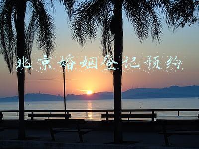 北京婚姻登记预约时间(北京：“520”“521”办理婚登需持核酸证明，一人一核验)
