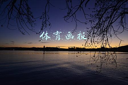 体育画报