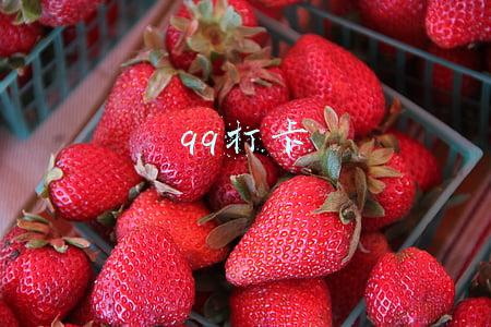 qq打卡