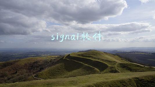 signal软件