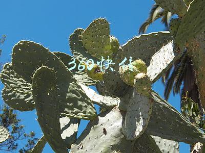 360快传