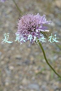 复联4海报