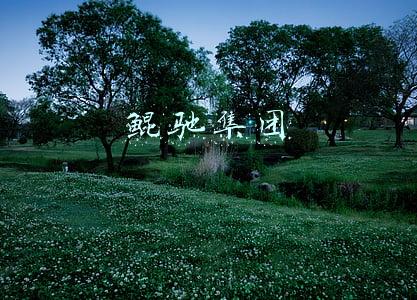 鲲驰集团